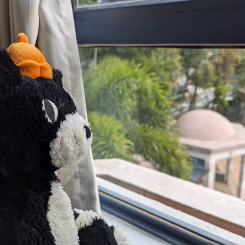 What are you pondering?