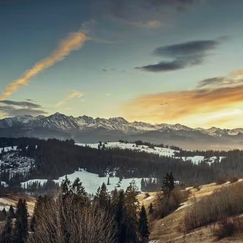 Guard Oracle Continues