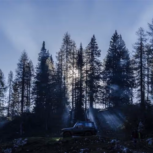 Expect Newly Targeted