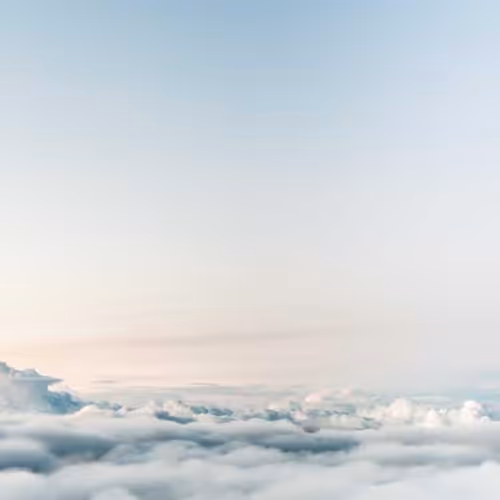 Advisors Miscellaneous