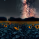 Stellar Sunflowers: Celestial Blooms