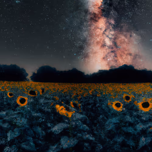 Stellar Sunflowers: Celestial Blooms