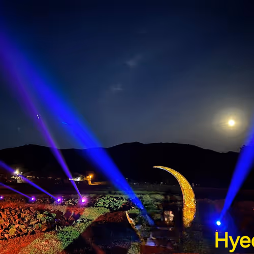Night Festival