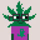 Weed Head Gnars Appreciatoooor
