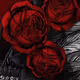 Blood roses