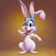 Bunny #10