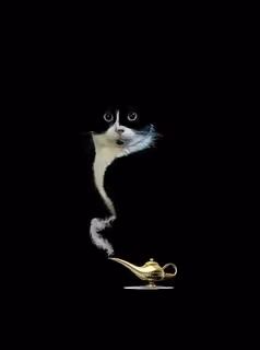 Zora Posts