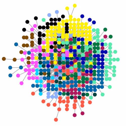 OnChain Networks