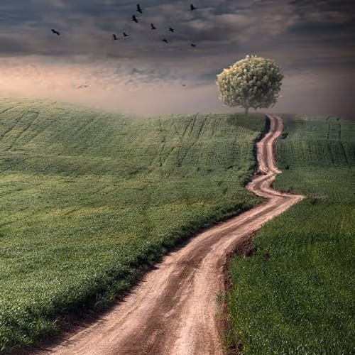 travel
