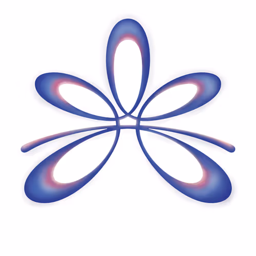 Kismet Process-Booklet