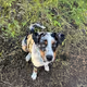 Zora Posts
