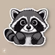 Raccoon