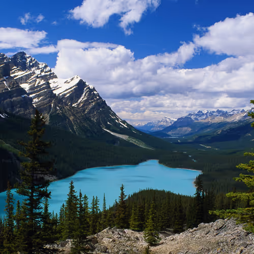 0xf7b69c1e26c0769b465adb7271520801a0f9adb6