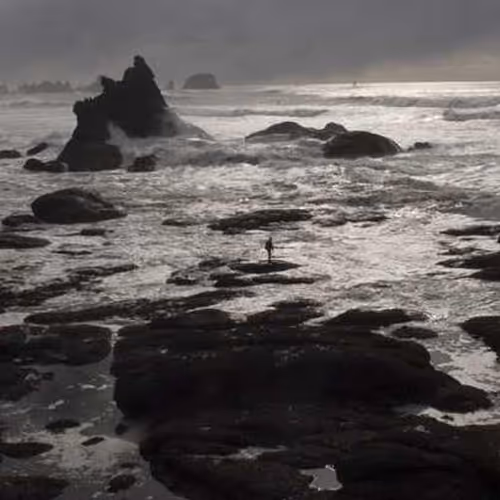 Experienced Calculate