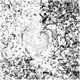 Fragmented Memories of Dispensation #1