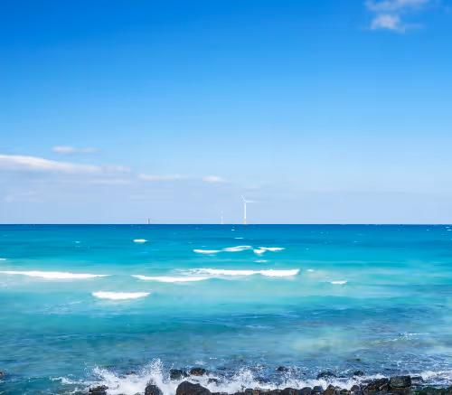 soso sea
