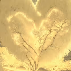 LOVE TREE