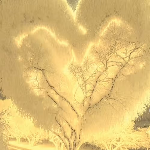 LOVE TREE