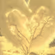 LOVE TREE