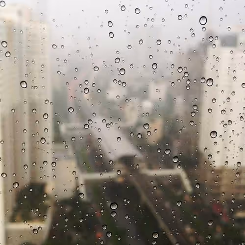 Seemed Beginners Quad