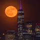DOWNTOWN 14