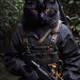 Hunting Cat's Vol. 1