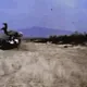GIFS