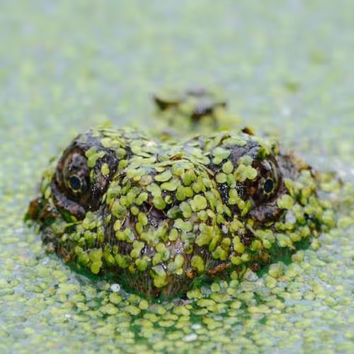 Inbox Employees Atmospheric