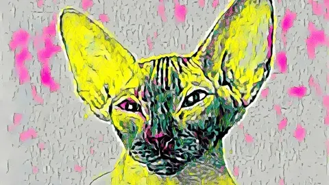 jonsina