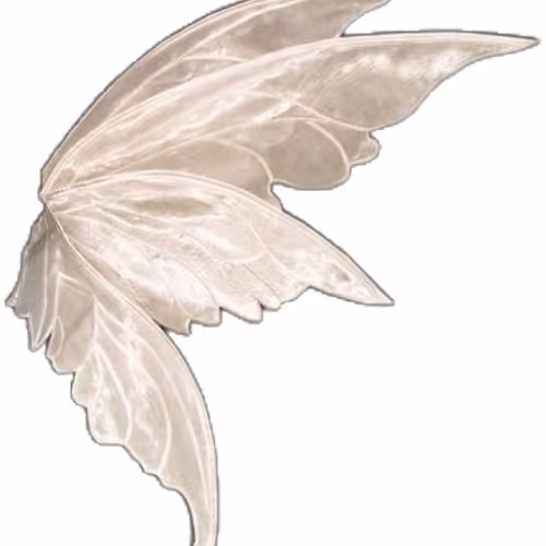 crystal buterfly