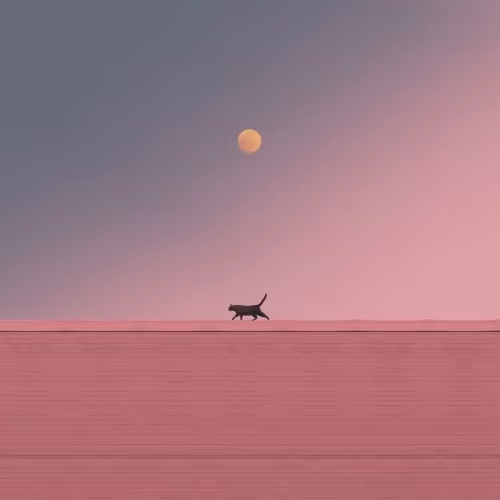 cat in the desert
