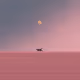 cat in the desert