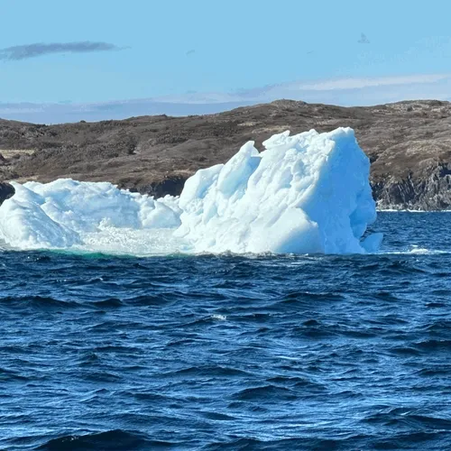 Icebergs from the north