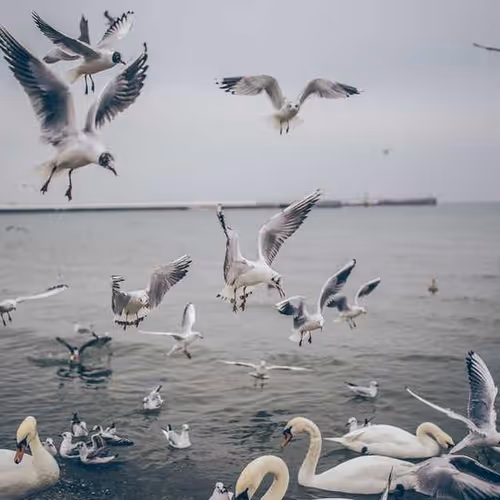 Forgotten Had Efficient