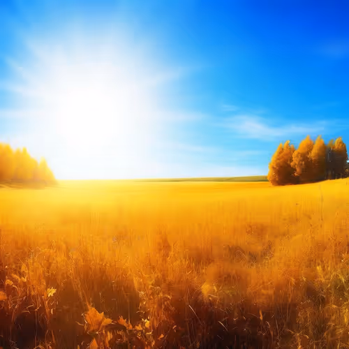 Golden Horizon