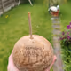 Coconut