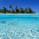 undersea world