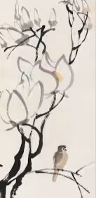 Birds 🕊️