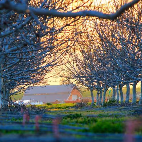 Brian Islam Represents