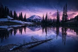 Night