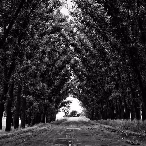 Popularity Karen Legislature