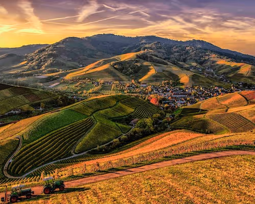 0x89bf9407a2c1ecfd5c2f6c242d9a1496cc36215a