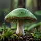 green mushroom