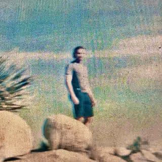 Zora Posts