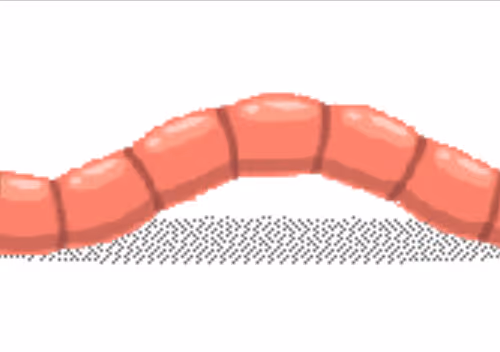 Worm of Ni