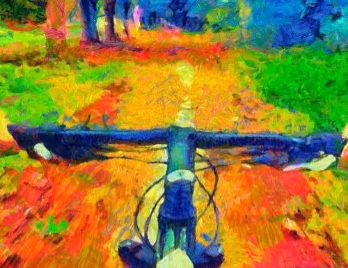 riding a bike
