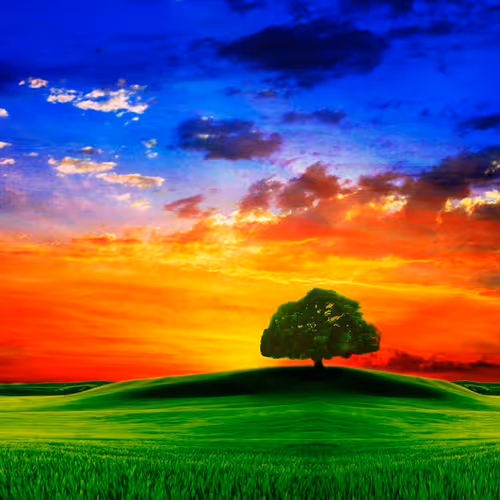 Nature