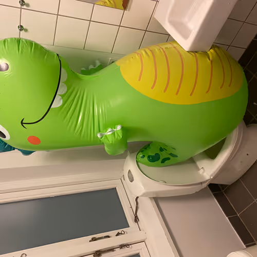 DINO