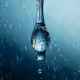 raindrop