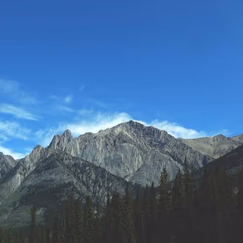 Presented Metal Travis